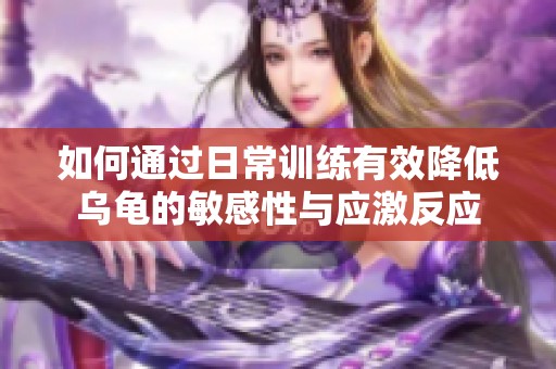 如何通过日常训练有效降低乌龟的敏感性与应激反应