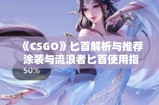 《CSGO》匕首解析与推荐 涂装与流浪者匕首使用指南