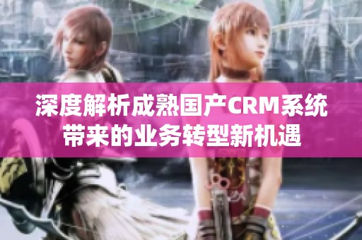 深度解析成熟国产CRM系统带来的业务转型新机遇