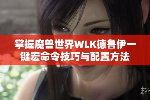 掌握魔兽世界WLK德鲁伊一键宏命令技巧与配置方法