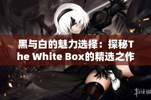 黑与白的魅力选择：探秘The White Box的精选之作