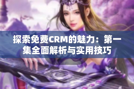 探索免费CRM的魅力：第一集全面解析与实用技巧