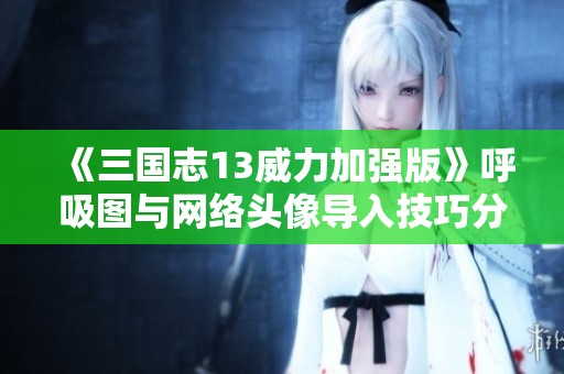 《三国志13威力加强版》呼吸图与网络头像导入技巧分享