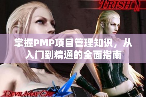 掌握PMP项目管理知识，从入门到精通的全面指南