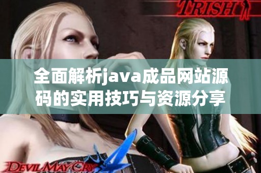 全面解析java成品网站源码的实用技巧与资源分享