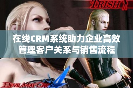 在线CRM系统助力企业高效管理客户关系与销售流程