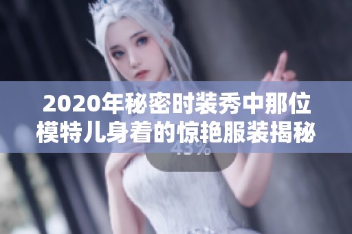 2020年秘密时装秀中那位模特儿身着的惊艳服装揭秘