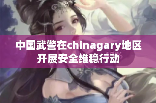 中国武警在chinagary地区开展安全维稳行动