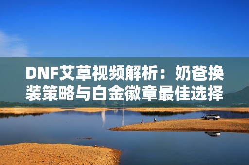 DNF艾草视频解析：奶爸换装策略与白金徽章最佳选择技巧