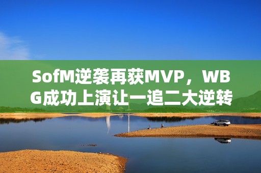 SofM逆袭再获MVP，WBG成功上演让一追二大逆转！