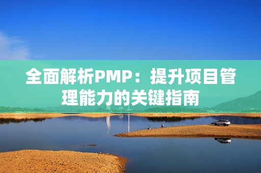 全面解析PMP：提升项目管理能力的关键指南