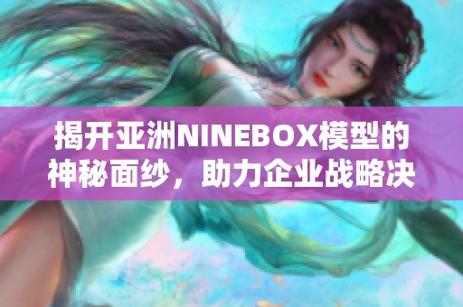 揭开亚洲NINEBOX模型的神秘面纱，助力企业战略决策优化