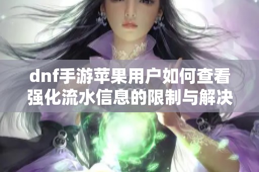 dnf手游苹果用户如何查看强化流水信息的限制与解决方案