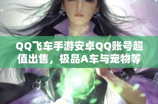 QQ飞车手游安卓QQ账号超值出售，极品A车与宠物等你来拿