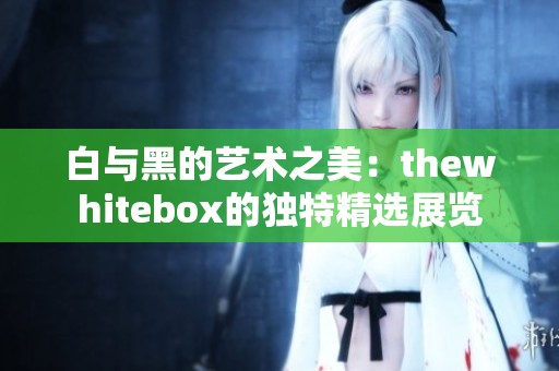 白与黑的艺术之美：thewhitebox的独特精选展览