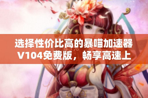选择性价比高的暴喵加速器V104免费版，畅享高速上网体验