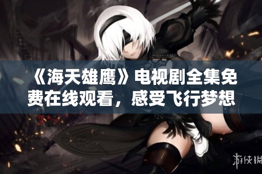 《海天雄鹰》电视剧全集免费在线观看，感受飞行梦想与热血追逐