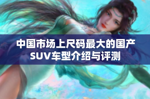 中国市场上尺码最大的国产SUV车型介绍与评测