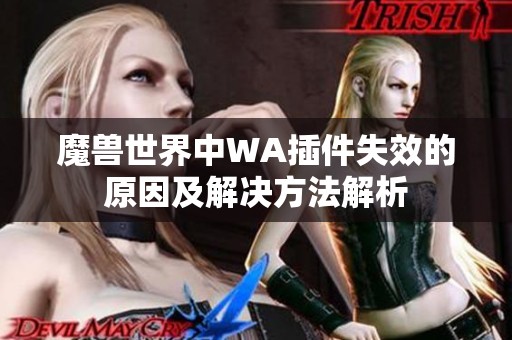 魔兽世界中WA插件失效的原因及解决方法解析