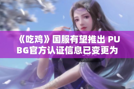 《吃鸡》国服有望推出 PUBG官方认证信息已变更为国内企业