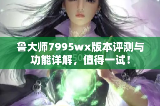 鲁大师7995wx版本评测与功能详解，值得一试！