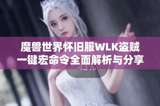 魔兽世界怀旧服WLK盗贼一键宏命令全面解析与分享