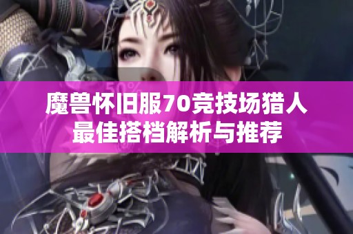 魔兽怀旧服70竞技场猎人最佳搭档解析与推荐