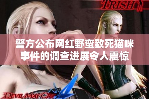 警方公布网红野蛮致死猫咪事件的调查进展令人震惊