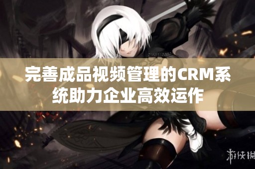 完善成品视频管理的CRM系统助力企业高效运作