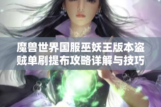 魔兽世界国服巫妖王版本盗贼单刷提布攻略详解与技巧分享