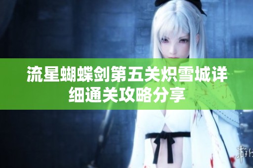 流星蝴蝶剑第五关炽雪城详细通关攻略分享