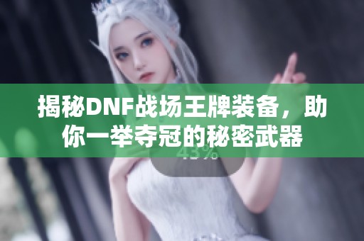 揭秘DNF战场王牌装备，助你一举夺冠的秘密武器