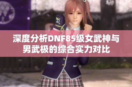 深度分析DNF85级女武神与男武极的综合实力对比