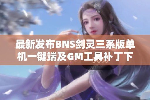 最新发布BNS剑灵三系版单机一键端及GM工具补丁下载合集